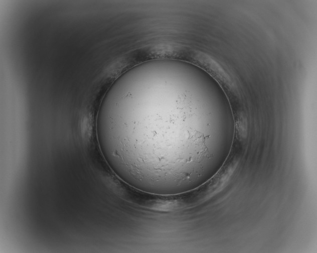 X0000102000458200807251249