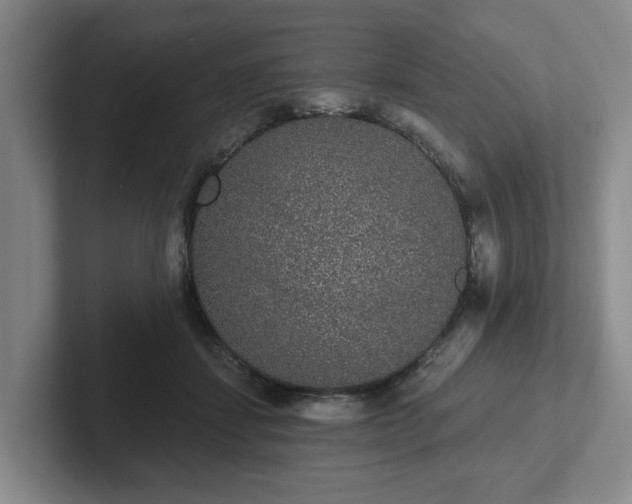 X0000102000459200807251249