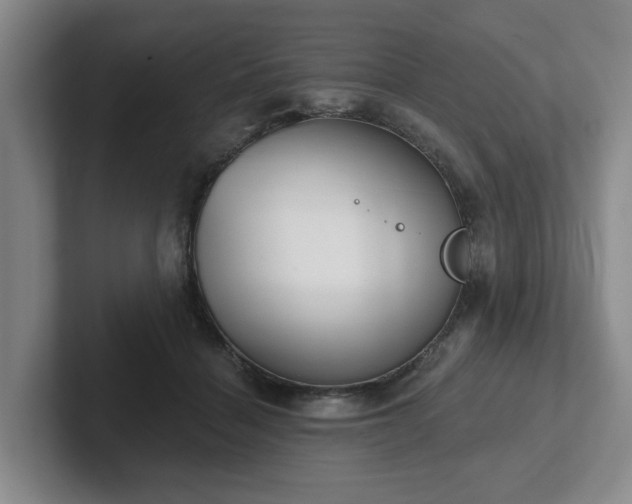 X0000102000460200807251249