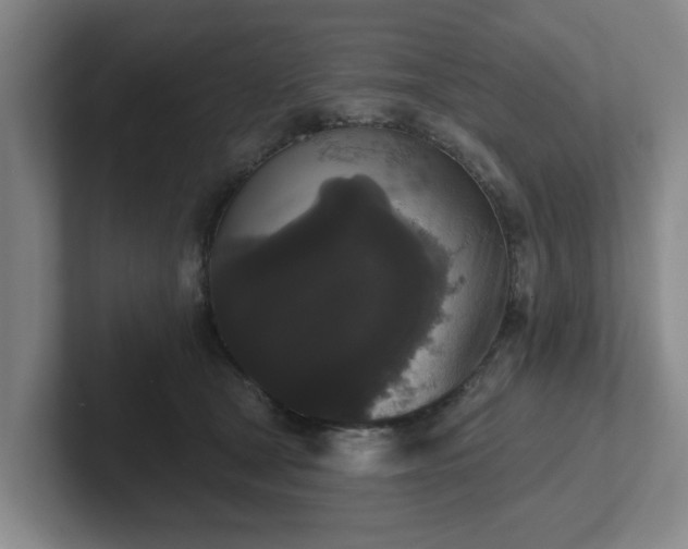 X0000102000465200807251249