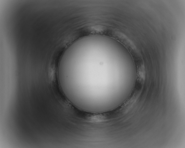 X0000102000468200807251249