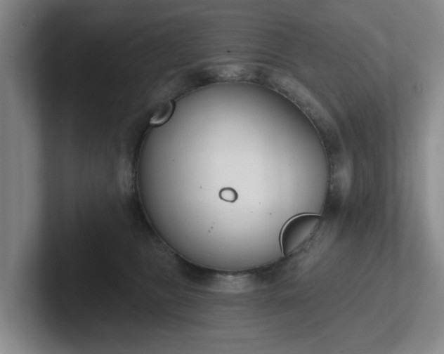 X0000102000469200807251249