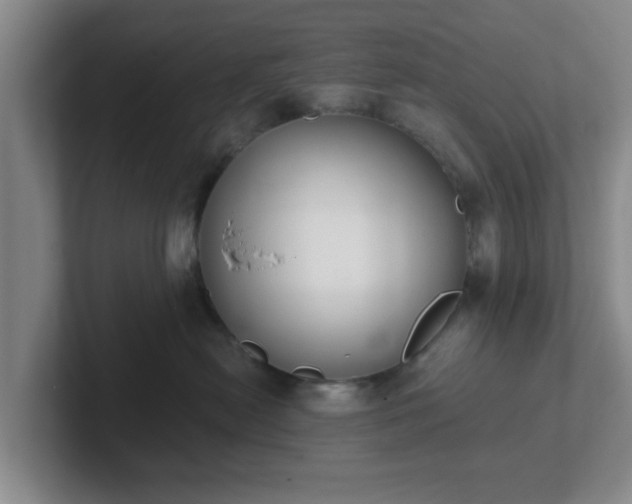 X0000102000478200807251250