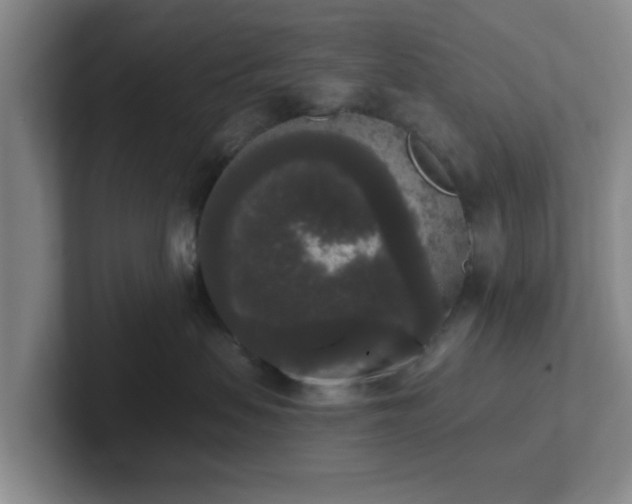 X0000102000479200807251250