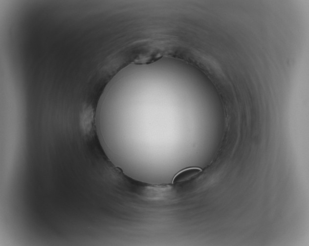 X0000102000480200807251250