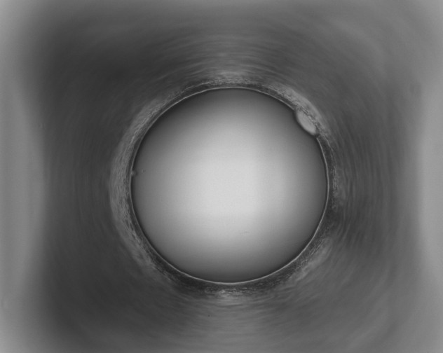 X0000102000481200807251249