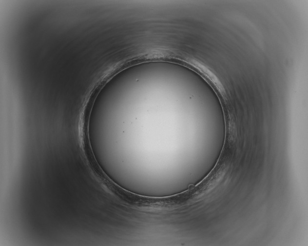 X0000102000485200807251249