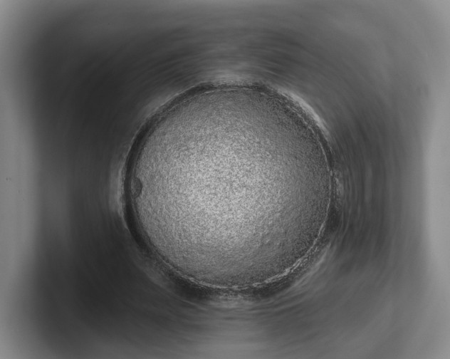 X0000102000487200807251249