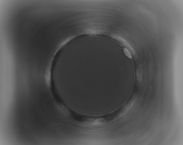 X0000102000488200807251249