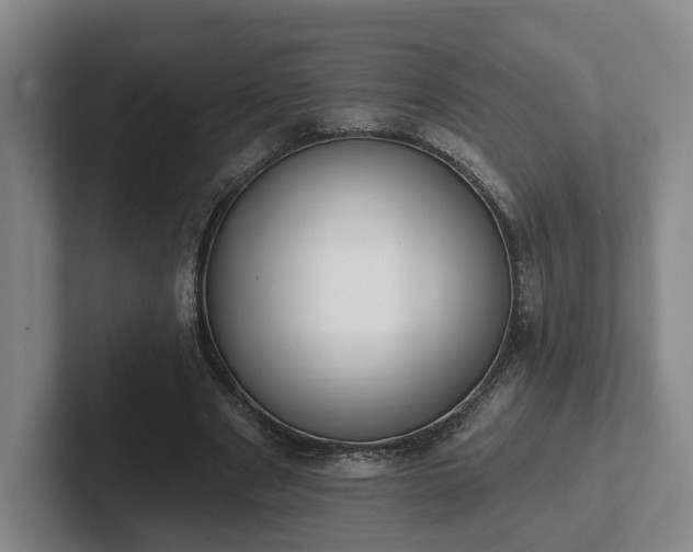 X0000102000489200807251249