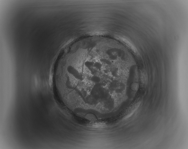 X0000102000491200807251249