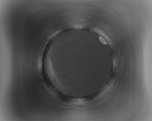 X0000102000492200807251249