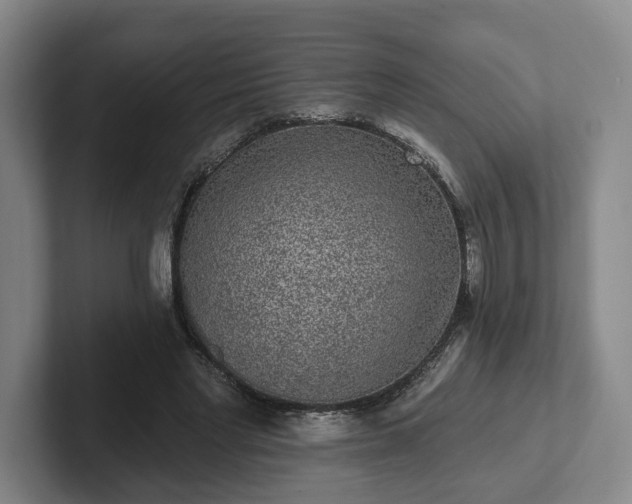 X0000102000493200807251249