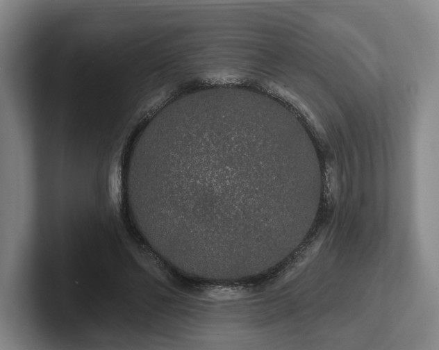 X0000102000494200807251249