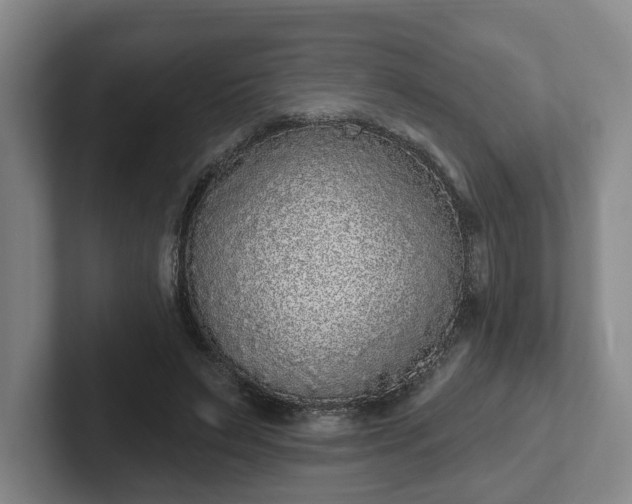 X0000102000495200807251249