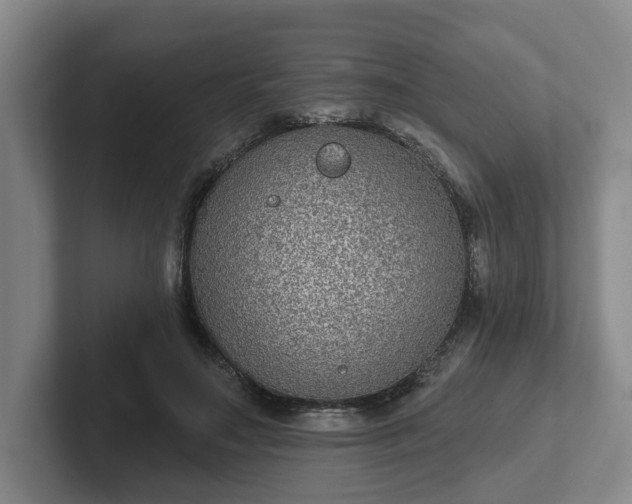 X0000102000499200807251249