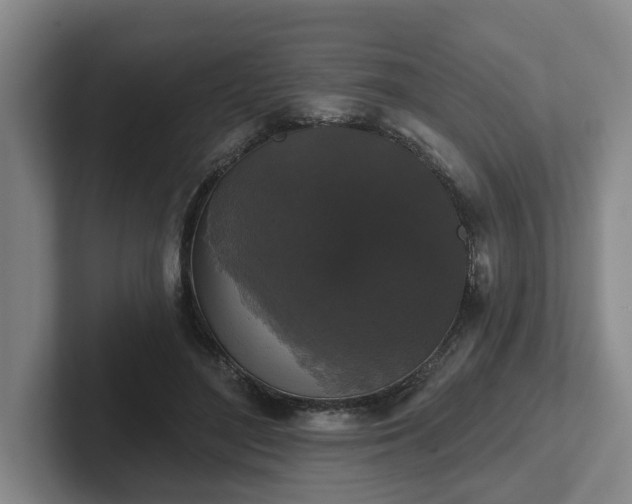 X0000102000500200807251249