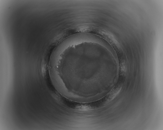 X0000102000503200807251249