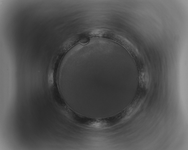 X0000102000504200807251249