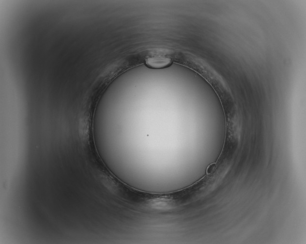 X0000102000505200807251249