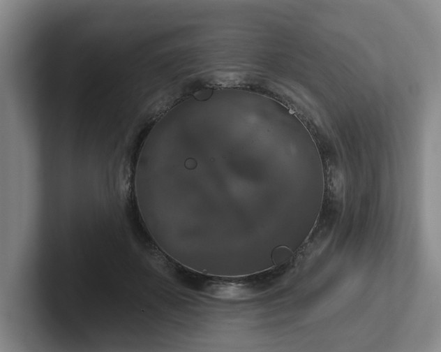 X0000102000507200807251249