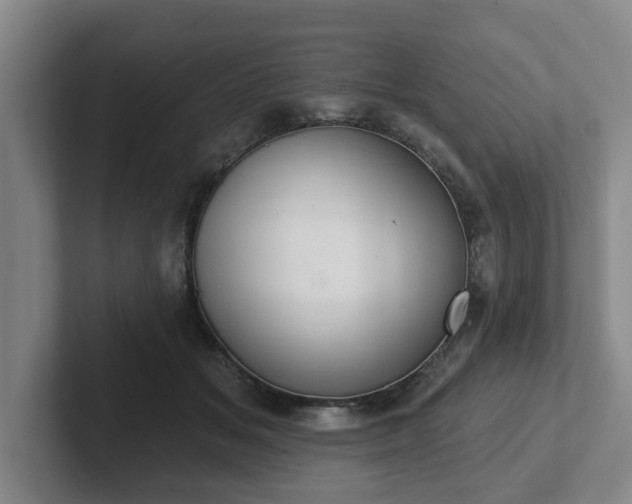 X0000102000509200807251249