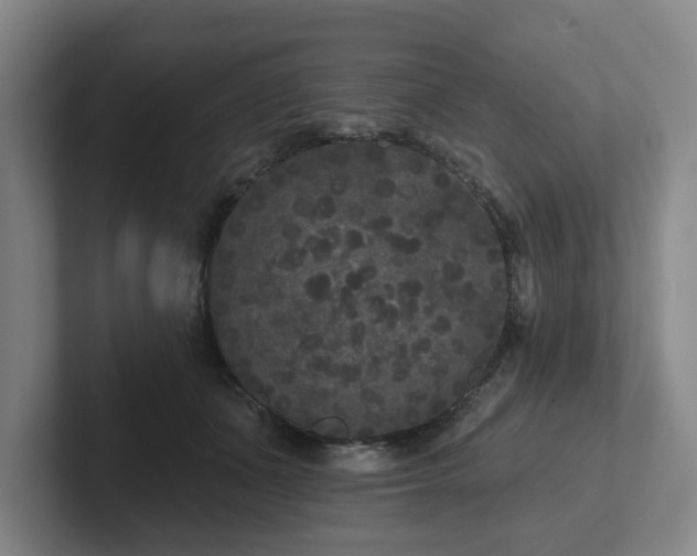 X0000102000511200807251249