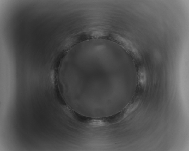 X0000102000519200807251248