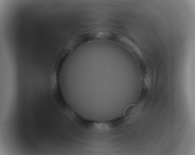 X0000102000520200807251248