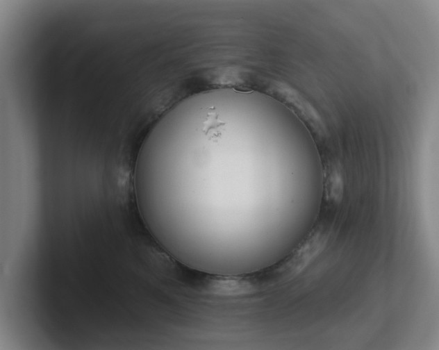 X0000102000521200807251248