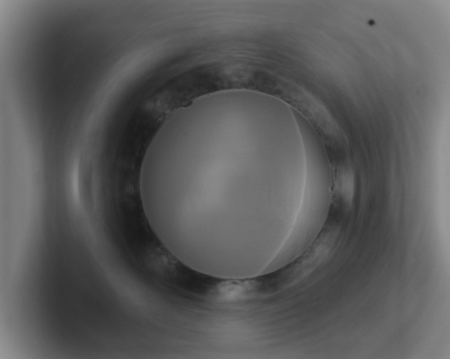 X0000102000526200807251248