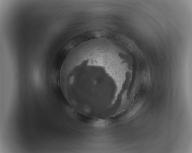 X0000102000527200807251248