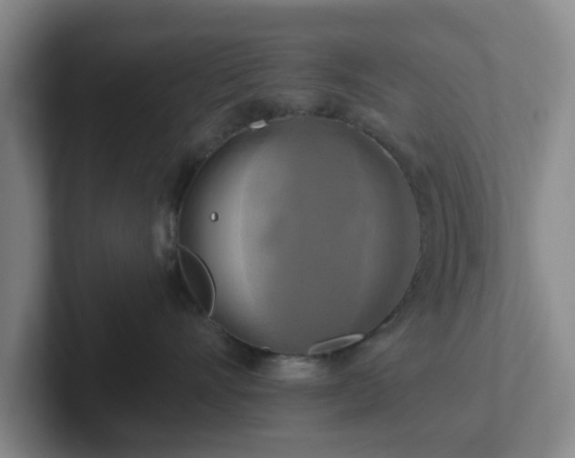 X0000102000528200807251248