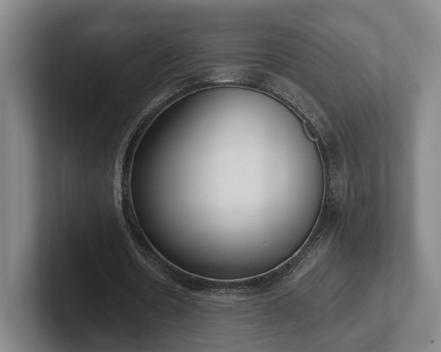 X0000102000530200807251248