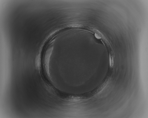 X0000102000531200807251248