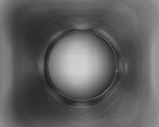 X0000102000535200807251248