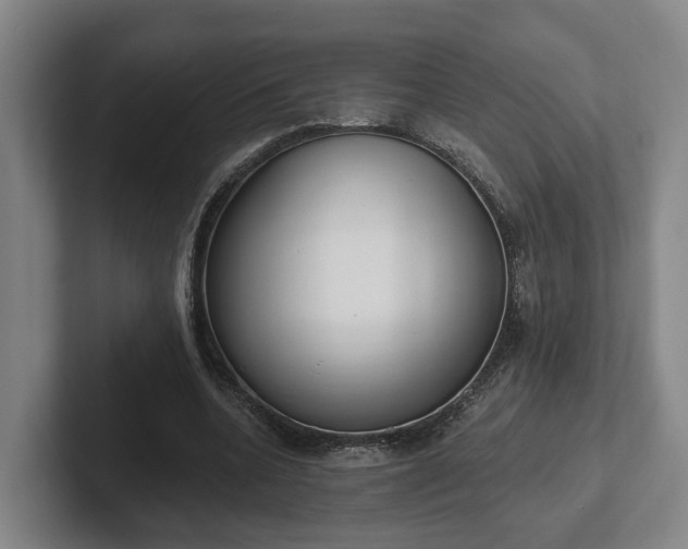 X0000102000536200807251248