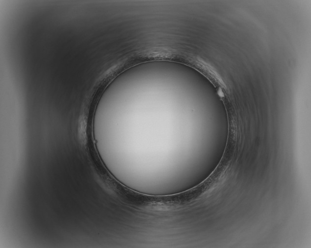 X0000102000538200807251248