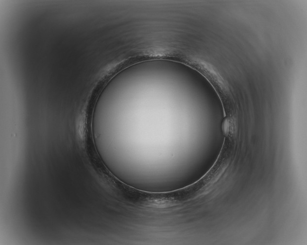 X0000102000540200807251248