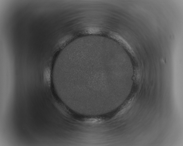 X0000102000542200807251248