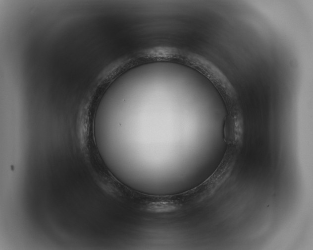 X0000102000544200807251248