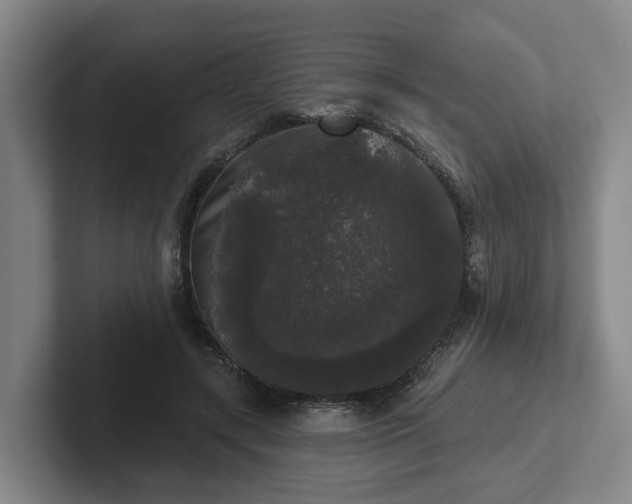 X0000102000547200807251248