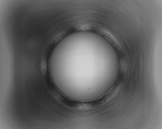 X0000102000549200807251248