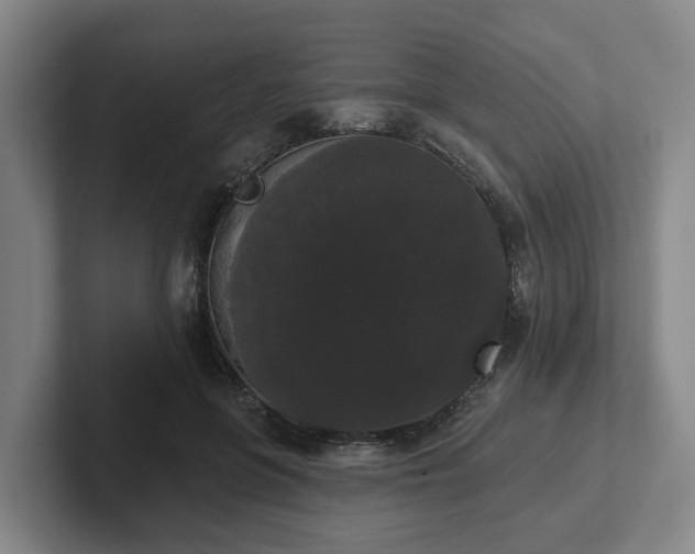 X0000102000551200807251248