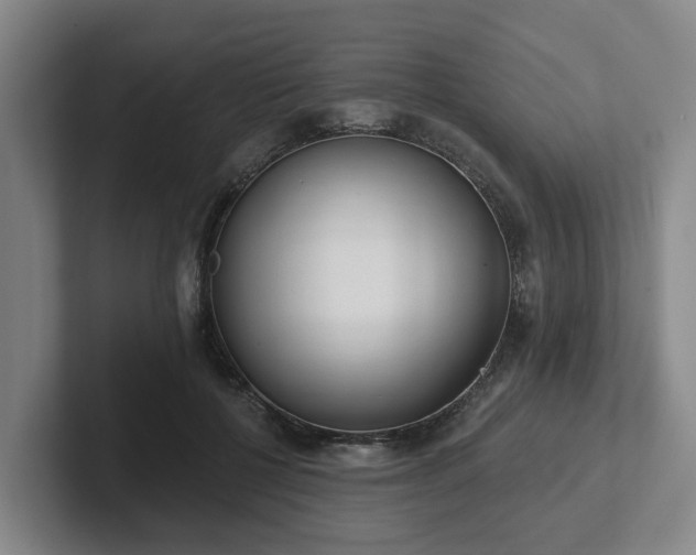 X0000102000552200807251248