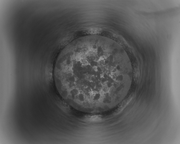 X0000102000553200807251248