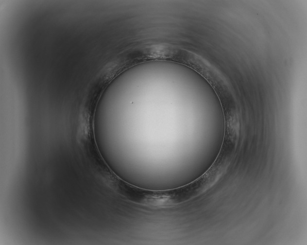 X0000102000554200807251248