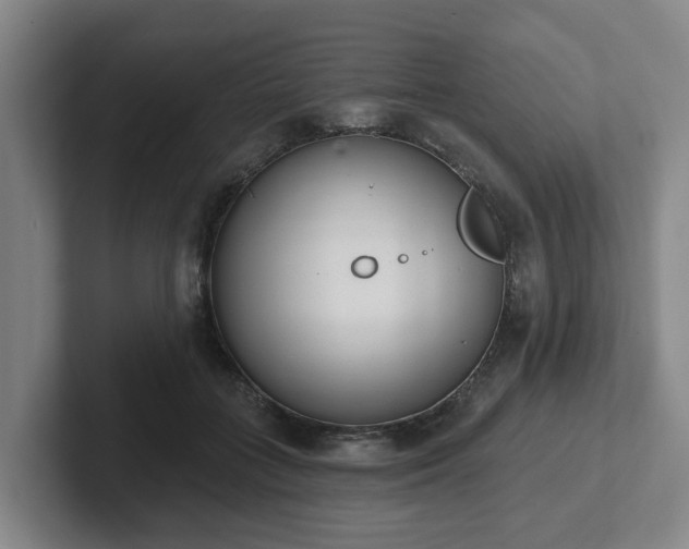 X0000102000555200807251248