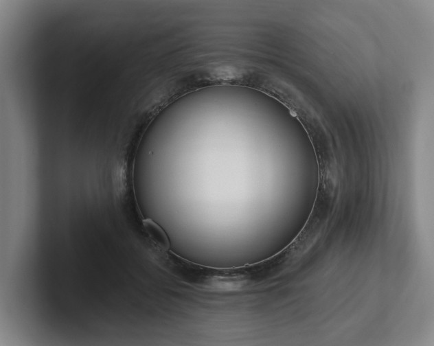 X0000102000556200807251248