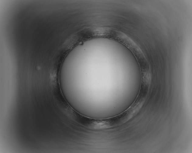 X0000102000557200807251248